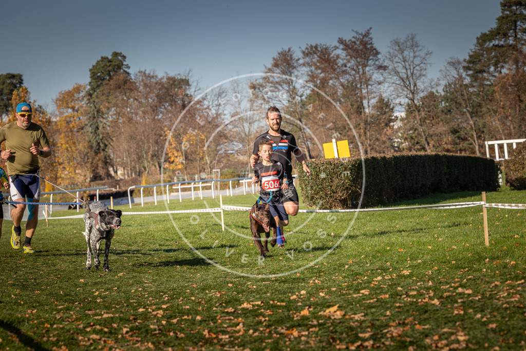 CaniXpix_0L8A6714 | Hundefotografie, Tierfotograf, Pfotenfotografie, Fotoshooting Hund, Hunde Portrait, Hundesport, Hundeportraits, Heideshooting, Hunde, Sportfotograf, Hundefotograf, Turnierhundsport, THS,  - Realisiert mit Pictrs.com