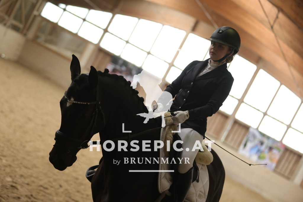 0P6A5835 | Willkommen bei Brunnmayr - Design & Fotografie – Ihrem Spezialisten für Reitturniere und Pferdeveranstaltungen in Oberösterreich, Salzburg und Bayern! Seit über 17 Jahren sind wir leidenschaftlich dabei.