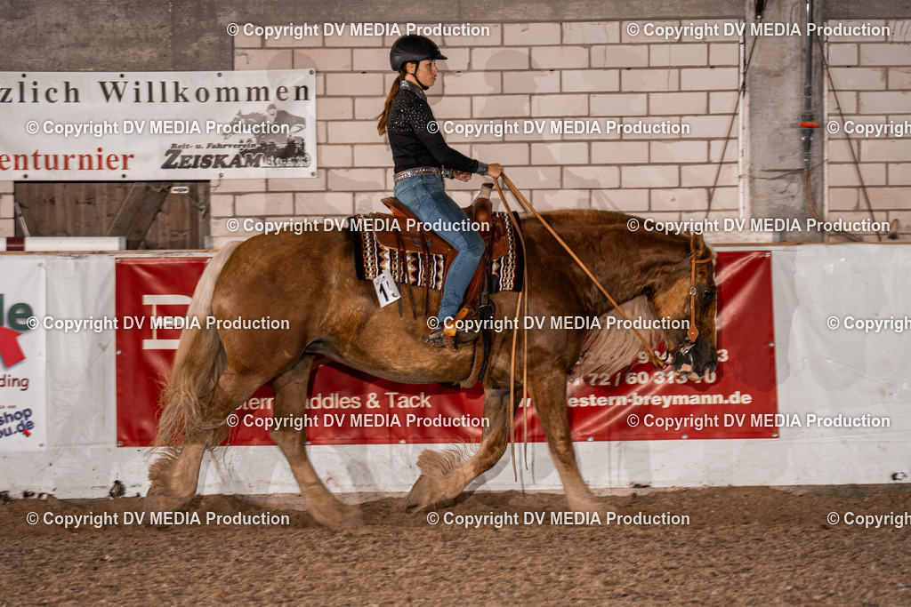 ZH200833 | dv-media-shop - Realisiert mit Pictrs.com