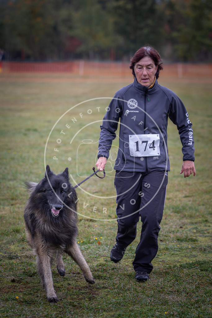 Pfotenfotografie_DV3A9296 | Hundefotografie, Tierfotograf, Pfotenfotografie, Fotoshooting Hund, Hunde Portrait, Hundesport, Hundeportraits, Heideshooting, Hunde, Sportfotograf, Hundefotograf, Turnierhundsport, THS,  - Realisiert mit Pictrs.com