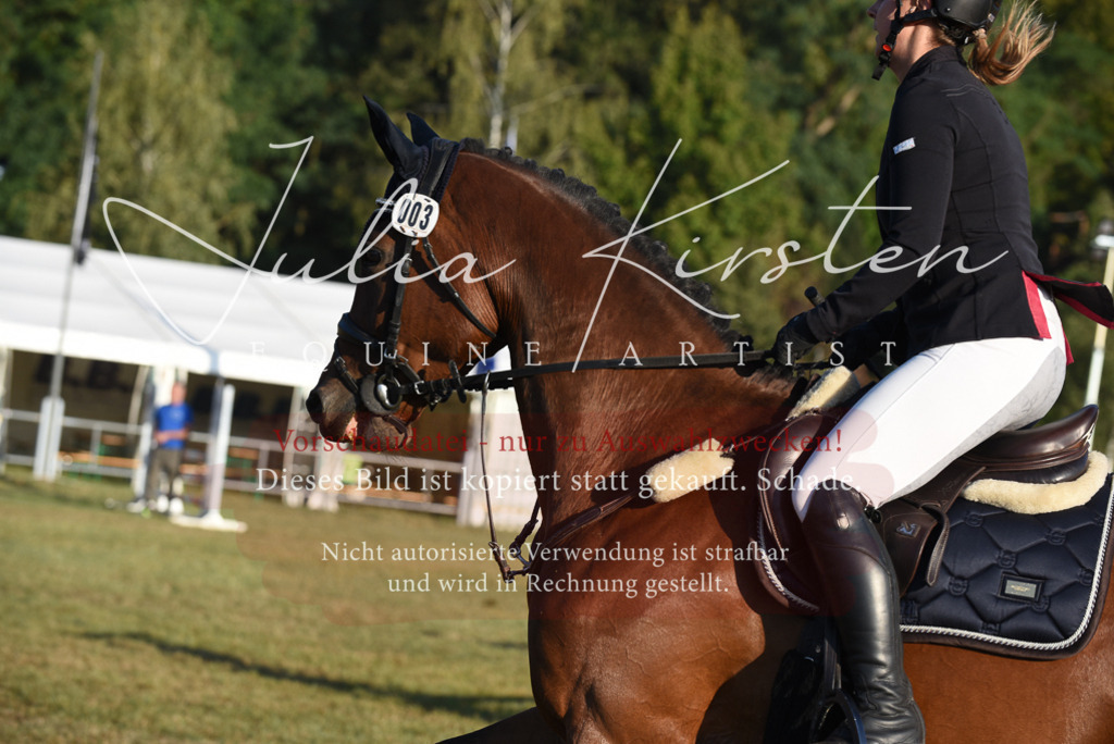 DSC_4863 | Pferde- und Turnierfotografie in Westsachsen. Pferdeportraits, Auftragszeichnungen und intuitive Kunst.