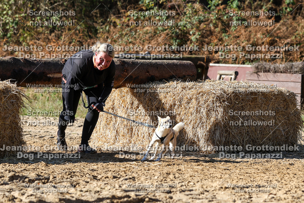 Dog Paparazzi - Strongdog 10-25-2792 | Dog Paparazzi Jeanette Grottendiek Fotografie & Videografie - Realisiert mit Pictrs.com