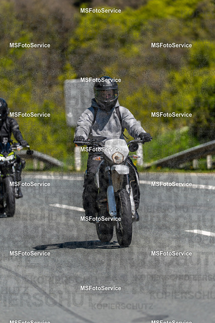 MSFotoServiceXXX103 | MSFotoService - Realisiert mit Pictrs.com