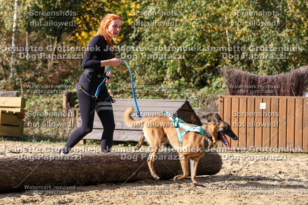 Dog Paparazzi - Strongdog 10-25-5246 | Dog Paparazzi Jeanette Grottendiek Fotografie & Videografie - Realisiert mit Pictrs.com