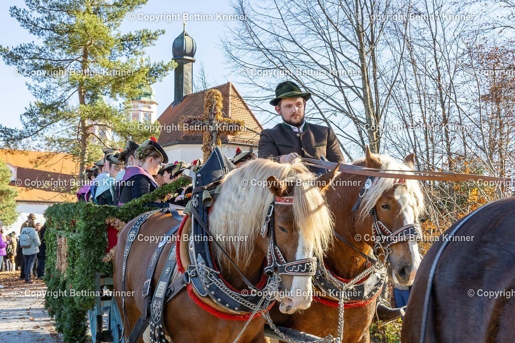 LBT25-1306 | foto-bettina-krinner - Realisiert mit Pictrs.com