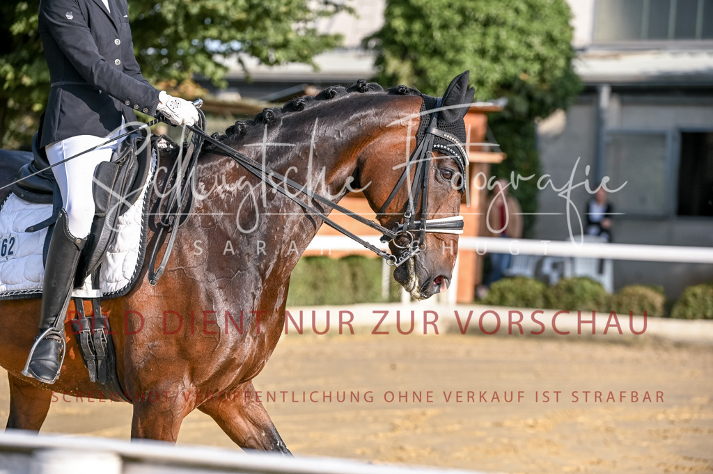 Schugtsche-Aluta25-52.Dressurprf.M2Kand-19 | Schugtsche Fotografie - Realisiert mit Pictrs.com