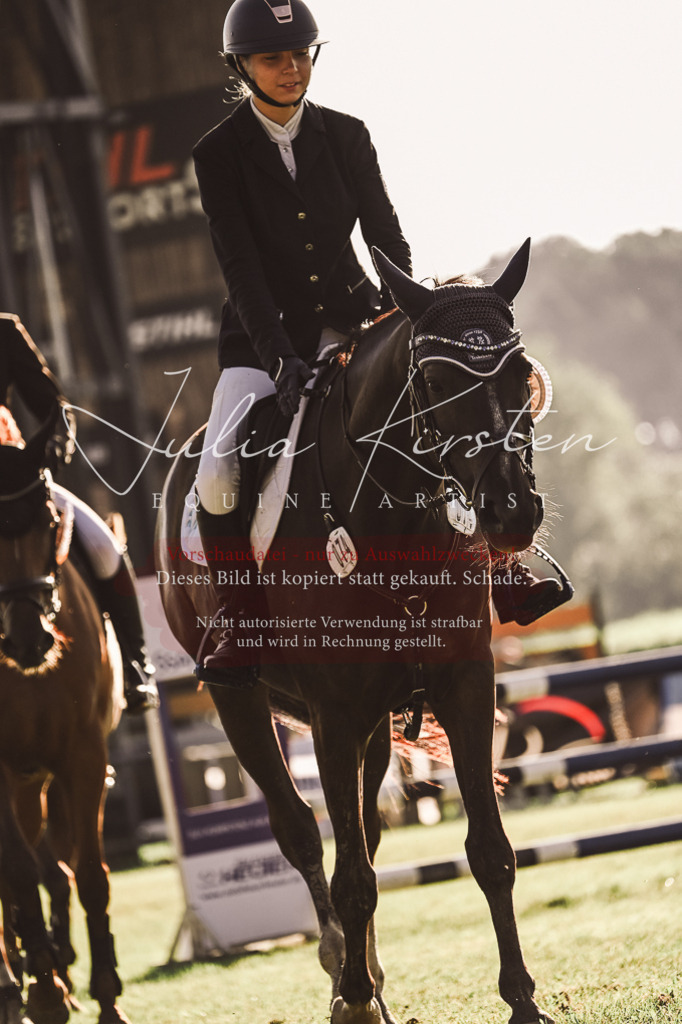 DSC_4588 | Pferde- und Turnierfotografie in Westsachsen. Pferdeportraits, Auftragszeichnungen und intuitive Kunst.