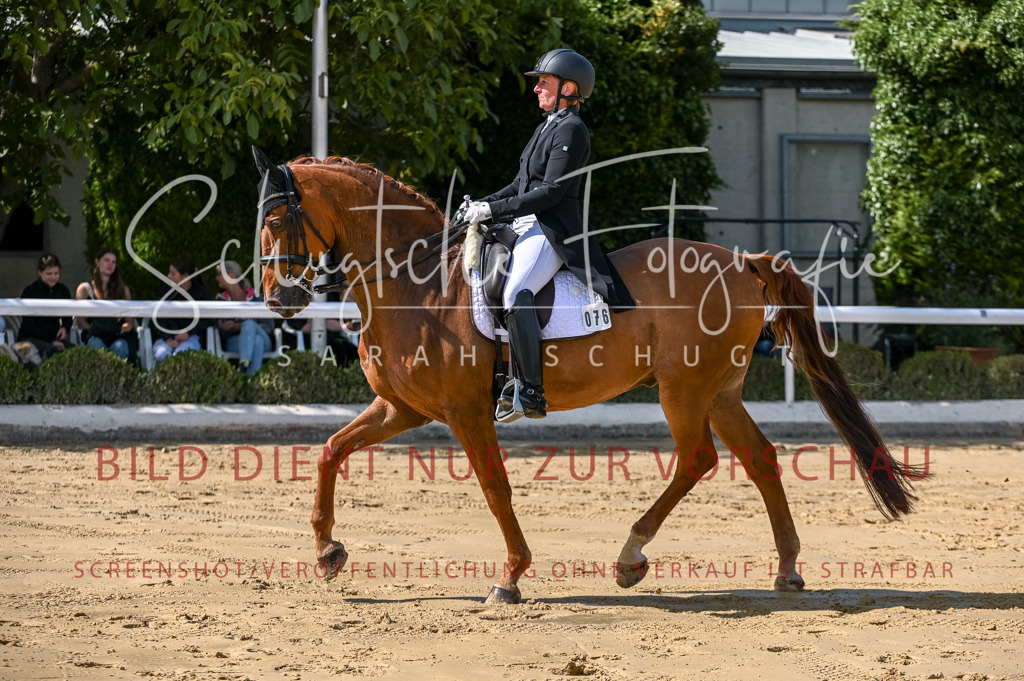 Schugtsche-Aluta25-58. Dressurprf.S1Kand.St.GeorgSpecial-291 | Schugtsche Fotografie - Realisiert mit Pictrs.com