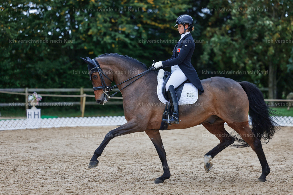 12-186-DRESSUR  S___  -StoibPH-5376 | working equitationturnier fotograf videograf stoibphotography marixx film working equitation deutschland reitsport turnierfotografie eventfotografie equestrian events