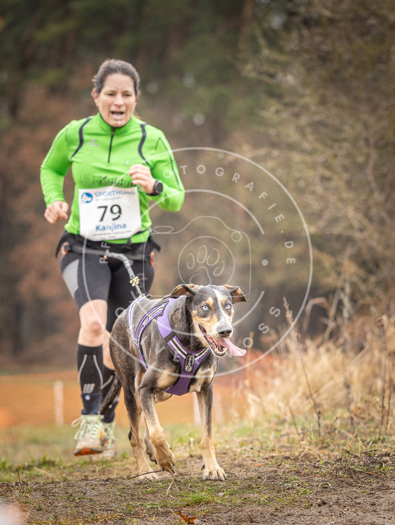 DV3A0325 | Hundefotografie, Tierfotograf, Pfotenfotografie, Fotoshooting Hund, Hunde Portrait, Hundesport, Hundeportraits, Heideshooting, Hunde, Sportfotograf, Hundefotograf, Turnierhundsport, THS,  - Realisiert mit Pictrs.com