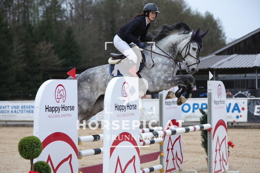 0P6A9298 | Willkommen bei Brunnmayr - Design & Fotografie – Ihrem Spezialisten für Reitturniere und Pferdeveranstaltungen in Oberösterreich, Salzburg und Bayern! Seit über 17 Jahren sind wir leidenschaftlich dabei.