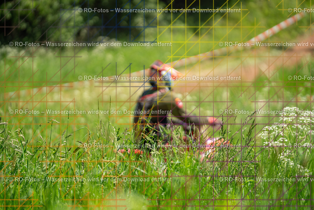Wolfshausen 2 Lauf -1014 | Sportfotografie von RO-Fotos: Motorsport, Motocross, Enduro, Laufveranstaltungen und Triathlon. Professionelle Fotos von Sportlern und Events. - Realisiert mit Pictrs.com