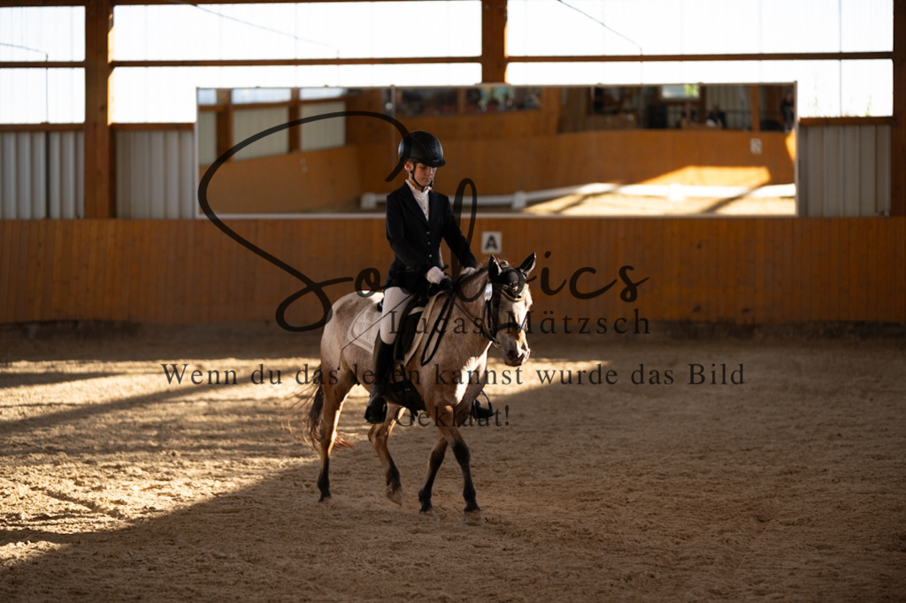 A7V01676 | Turnier/Reitfotograf