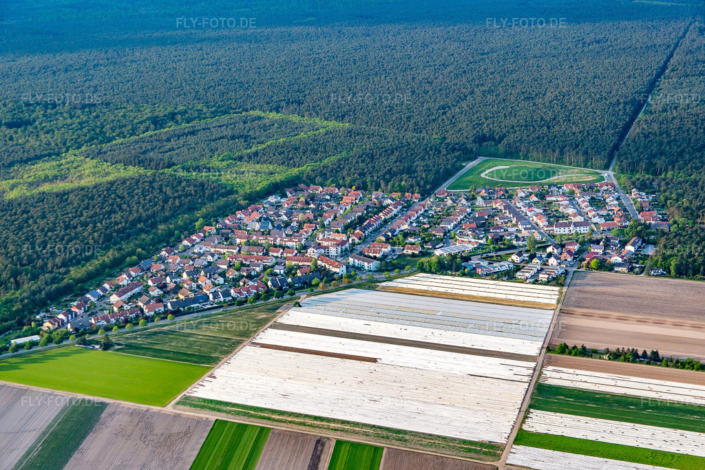 Luftbild: Ortsansicht von Süden im Ortsteil Neuschloß in Lampertheim im Bundesland Hessen in Deutschland. Foto: IMG_088287.jpg vom 09.05.2016 durch Werner Riehm/FLY-FOTO.de