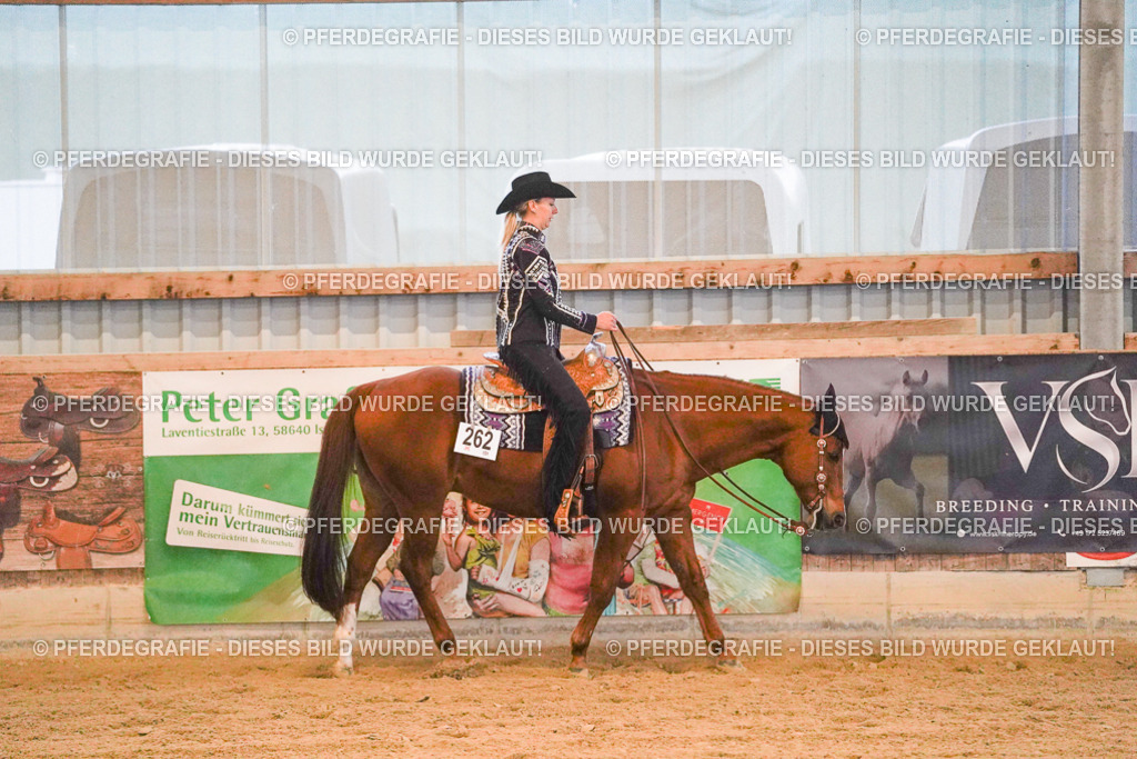 DSC08785 | Pferdegrafie