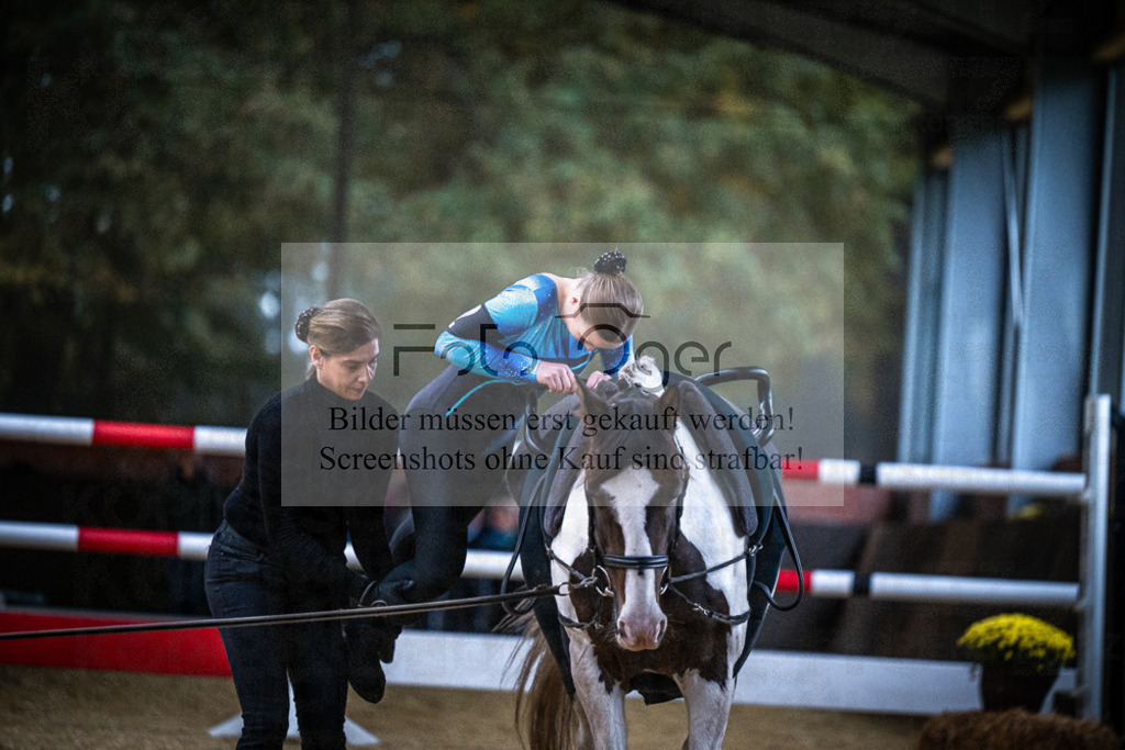 DOS_0039 | Entdecke hochwertige Reitturnierfotos von Foto Oger. Professionell, emotional und authentisch – jetzt Lieblingsmomente im Shop bestellen.Deutschlandweite Turnierfotografie. - Realisiert mit Pictrs.com