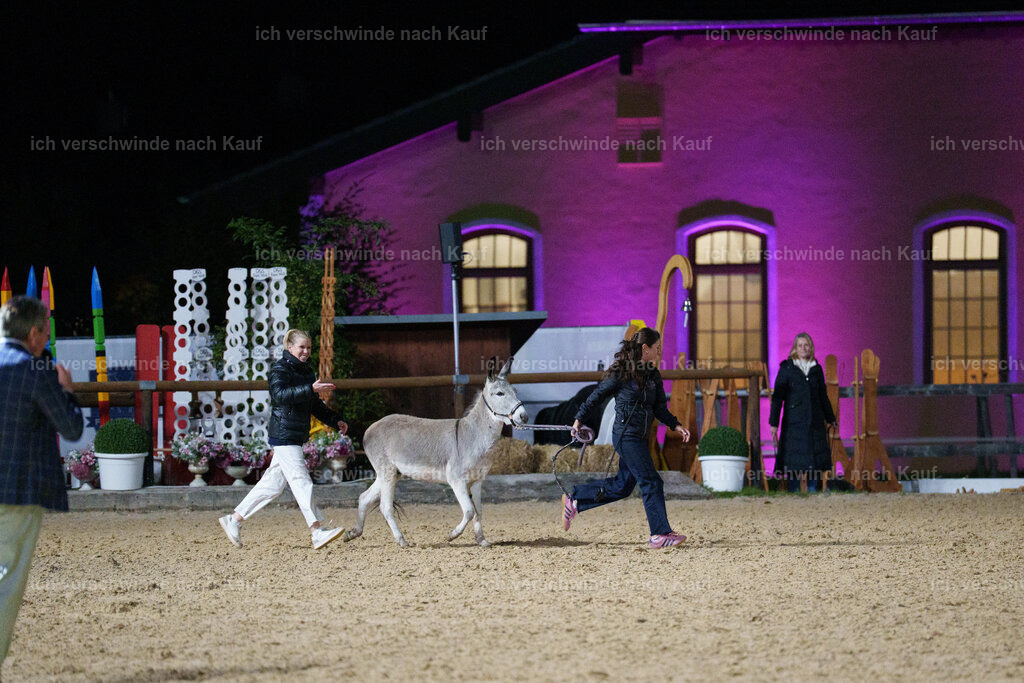Gala-698 | working equitationturnier fotograf videograf stoibphotography marixx film working equitation deutschland reitsport turnierfotografie eventfotografie equestrian events