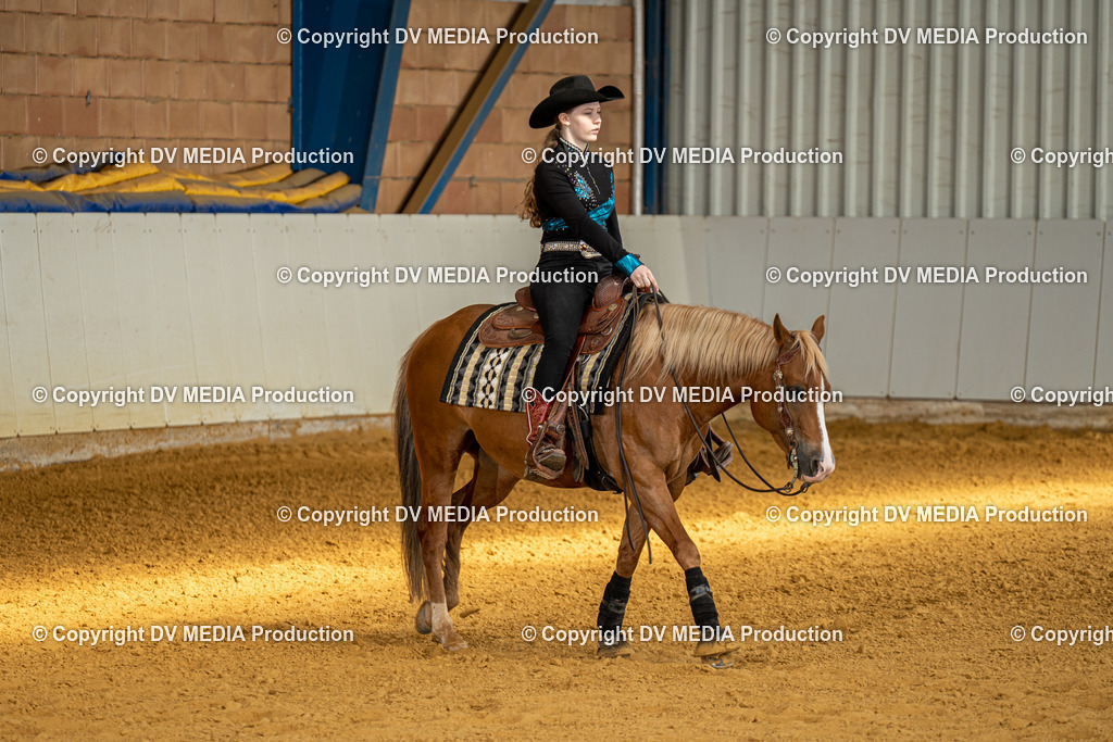 MIT00869 | dv-media-shop - Realisiert mit Pictrs.com