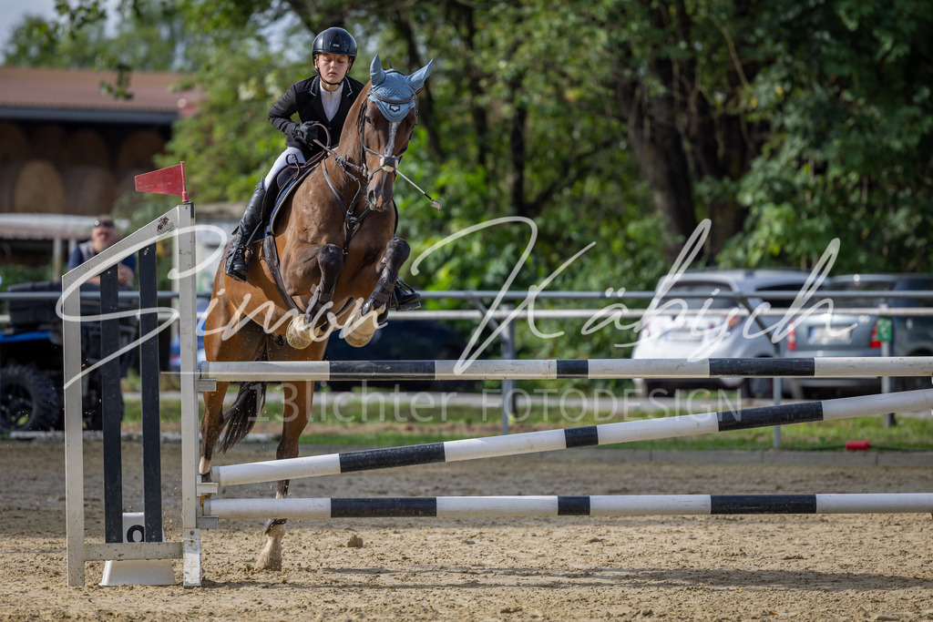 20260905-_3LI7200 | Tierfotografie Pferde, Hunde, Katzen, Haustiere.
Turnierfotografie Reitturniere, Reiten, Springreiten, Dressur in Hanau, dem Main-Kinzig-Kreis und dem Rhein-Main- Gebiet um Frankfurt