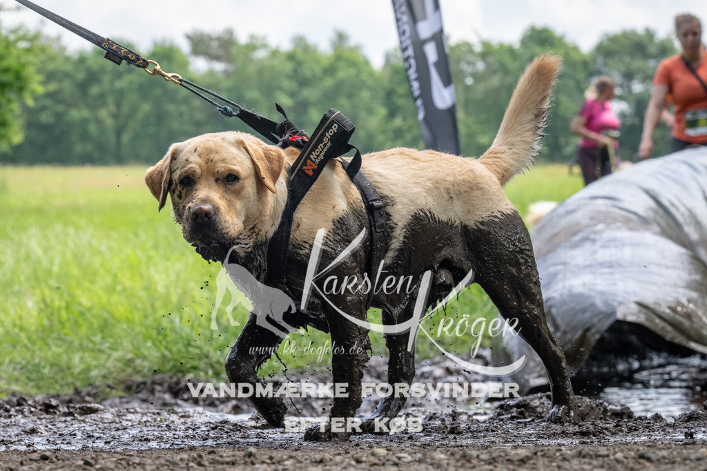 1143_ZZ94099 | kk-dogfotos