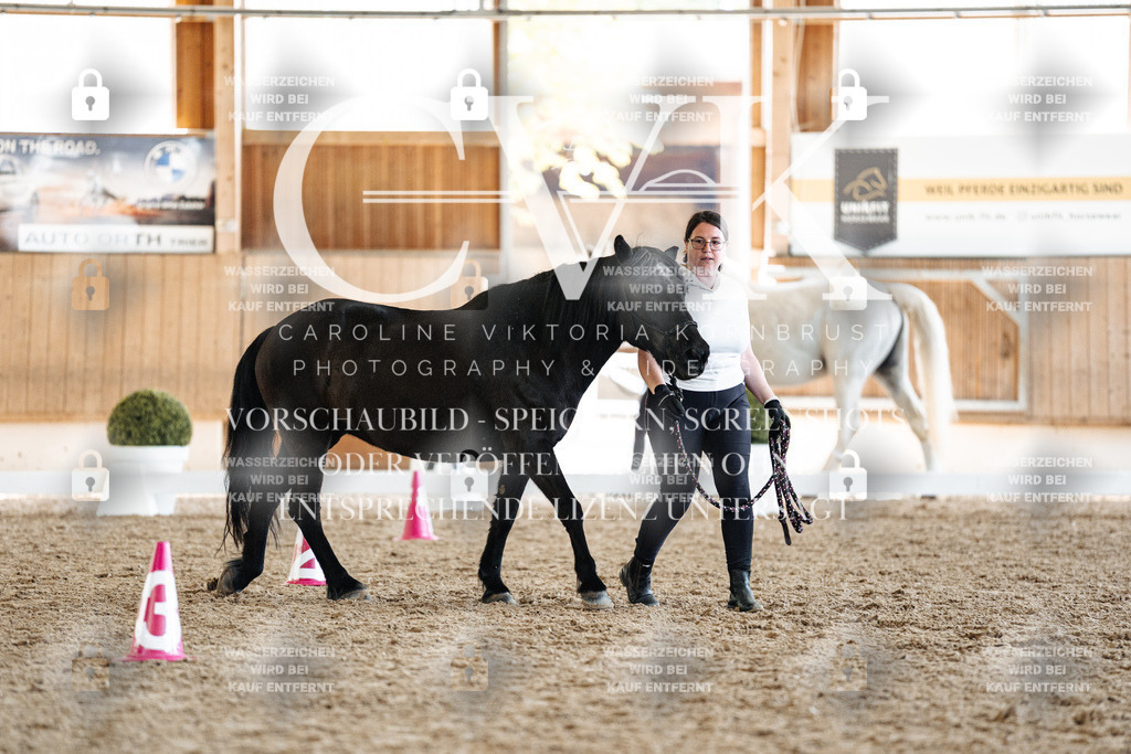 CK907522 | Turnierfotografie Pferdefotografie Trier Rheinland-Pfalz Pferdesport Reitsport Tierfotografie Sportfotografie Pferdevideo Pferdevideografie Equestrianvideography equestrianphotography  - Realisiert mit Pictrs.com
