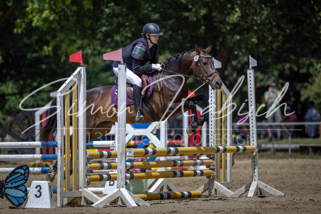 20260704-_3LI8942 | Tierfotografie Pferde, Hunde, Katzen, Haustiere.
Turnierfotografie Reitturniere, Reiten, Springreiten, Dressur in Hanau, dem Main-Kinzig-Kreis und dem Rhein-Main- Gebiet um Frankfurt