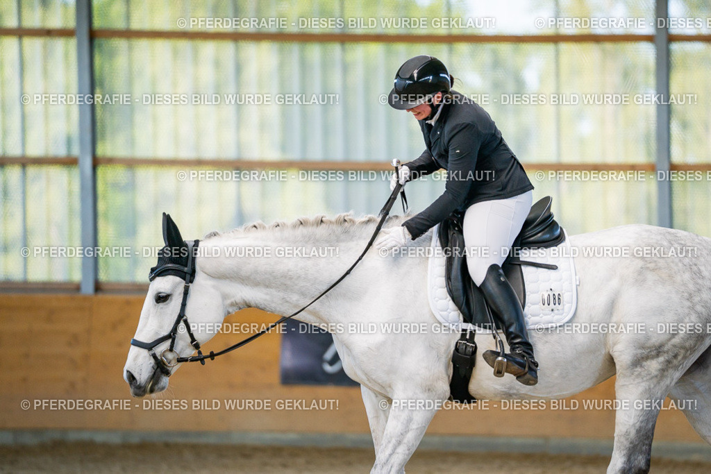 DSC06273 | Pferdegrafie