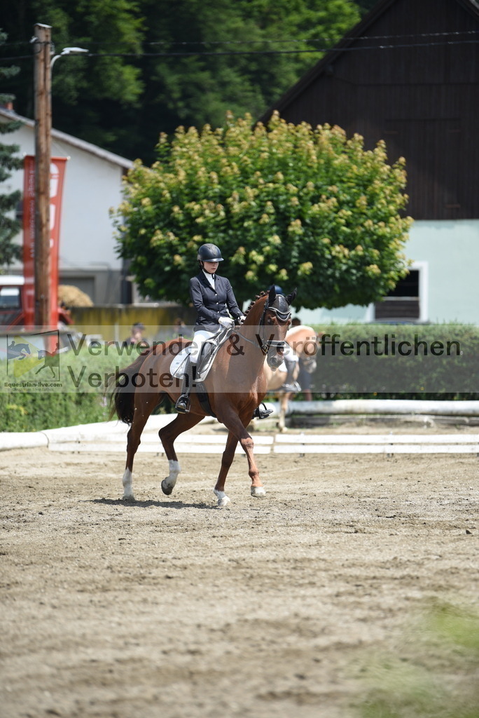 DSC_9514 | equestrian-live-com