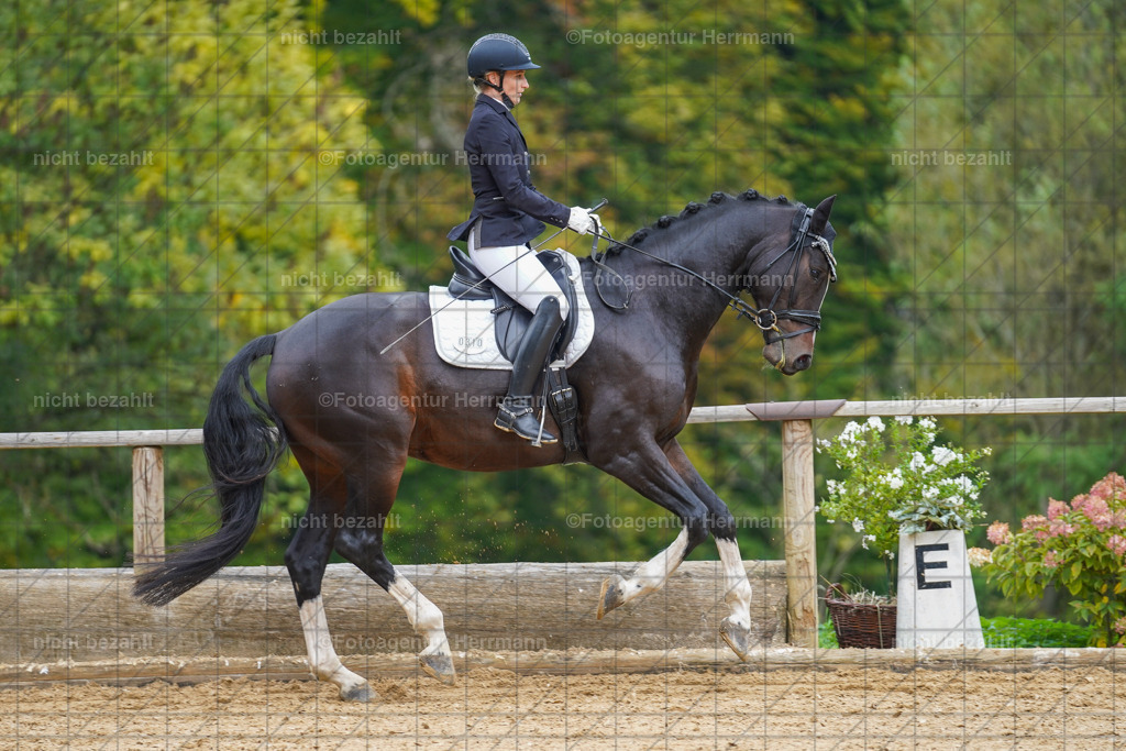 20221007-FAH09801 | Diessen am Ammersee, 2022, Dressur- und Springturnier, Reitsportbilder, Turnierfotografen Bayern, Pferdefotografen, Fotoagentur Herrmann, Turnierbilder