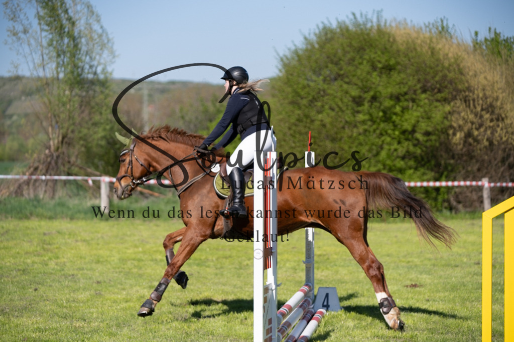 A7V01538 | Pferdefotograf