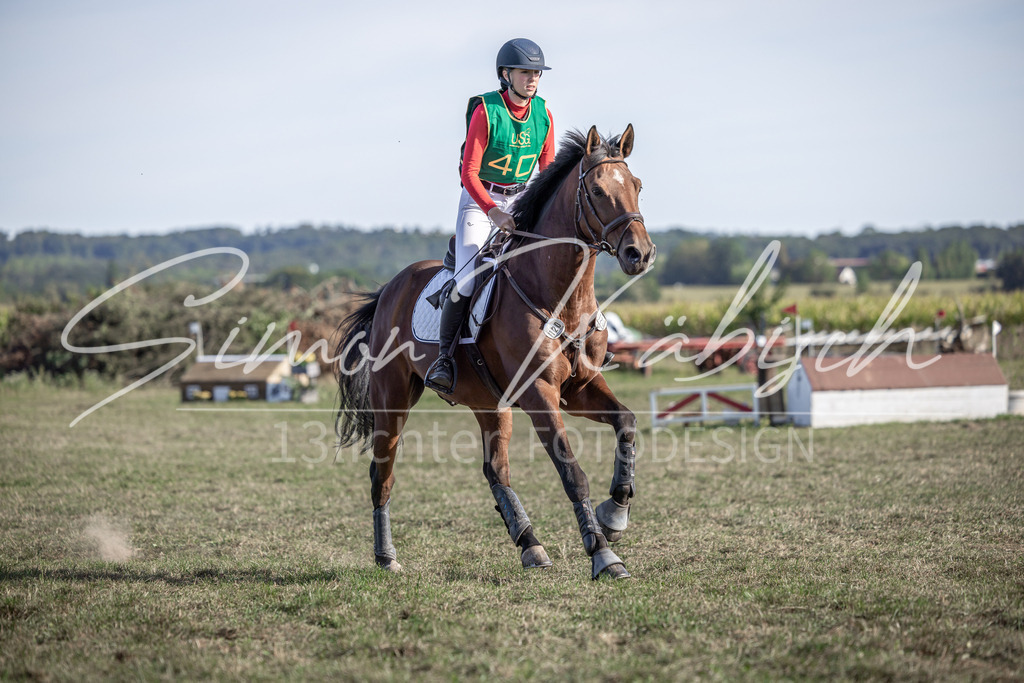 20250907-_3LI4122 | Tierfotografie Pferde, Hunde, Katzen, Haustiere.
Turnierfotografie Reitturniere, Reiten, Springreiten, Dressur in Hanau, dem Main-Kinzig-Kreis und dem Rhein-Main- Gebiet um Frankfurt