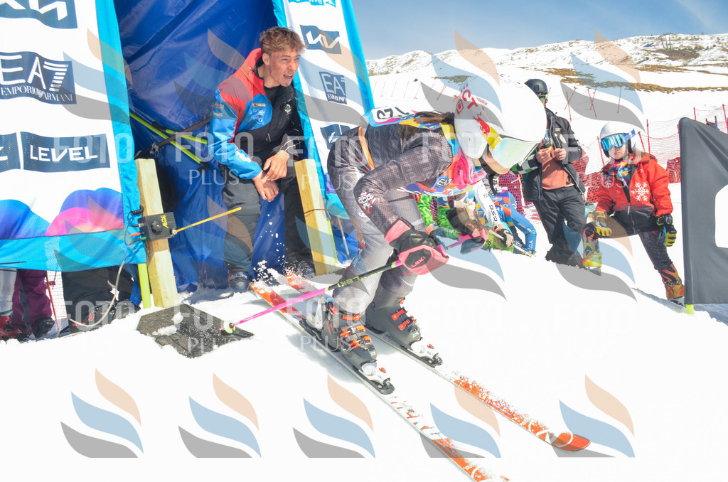 _ELE6032 | holidayphoto