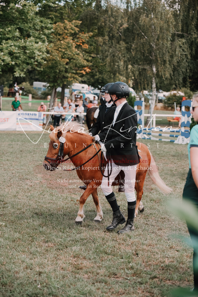 DSC_6054 | Pferde- und Turnierfotografie in Westsachsen. Pferdeportraits, Auftragszeichnungen und intuitive Kunst.