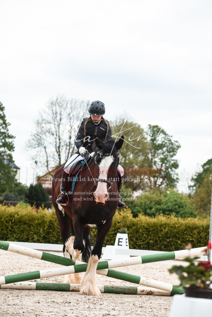 20230518_JK-Röhrsdorf-10-368 | Pferde- und Turnierfotografie in Westsachsen. Pferdeportraits, Auftragszeichnungen und intuitive Kunst.