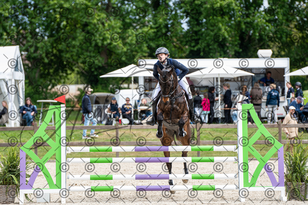 KPT_5432 | andre_photographic