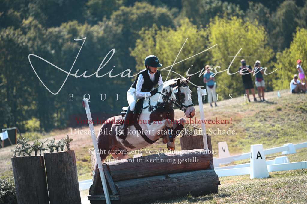 DSC_8093 | Pferde- und Turnierfotografie in Westsachsen. Pferdeportraits, Auftragszeichnungen und intuitive Kunst.