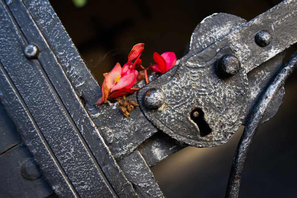 Altes Schloss | Ein schmiedeeisernes Schloss - Realisiert mit Pictrs.com