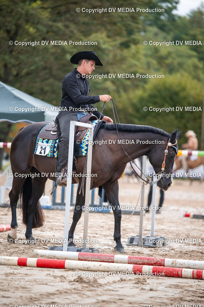 ZS3_4581 | dv-media-shop - Realisiert mit Pictrs.com