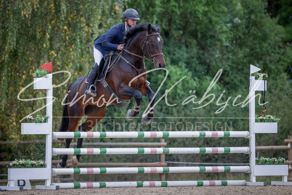 20251012-_3LI4125 | Tierfotografie Pferde, Hunde, Katzen, Haustiere.
Turnierfotografie Reitturniere, Reiten, Springreiten, Dressur in Hanau, dem Main-Kinzig-Kreis und dem Rhein-Main- Gebiet um Frankfurt