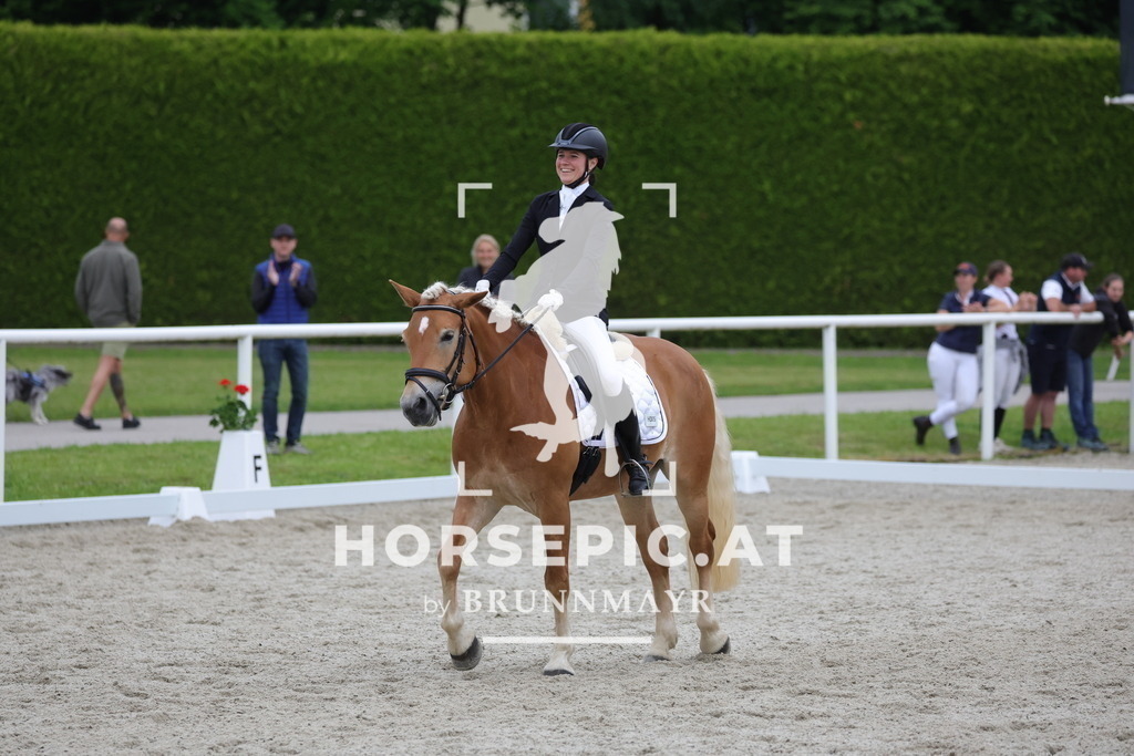 0P6A7115 | Willkommen bei Brunnmayr - Design & Fotografie – Ihrem Spezialisten für Reitturniere und Pferdeveranstaltungen in Oberösterreich, Salzburg und Bayern! Seit über 17 Jahren sind wir leidenschaftlich dabei.