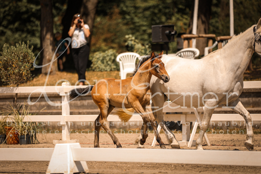 02.DoSR00152 | Leoni Ertmer Photography - Realisiert mit Pictrs.com