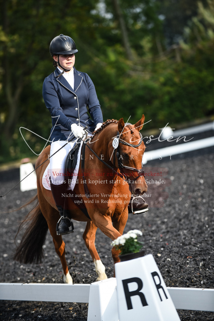 DSC_3453 | Pferde- und Turnierfotografie in Westsachsen. Pferdeportraits, Auftragszeichnungen und intuitive Kunst.