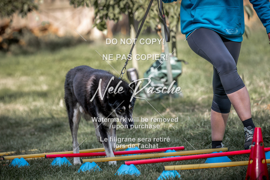 nelerasche_slaw24Sa_118 | nelerasche