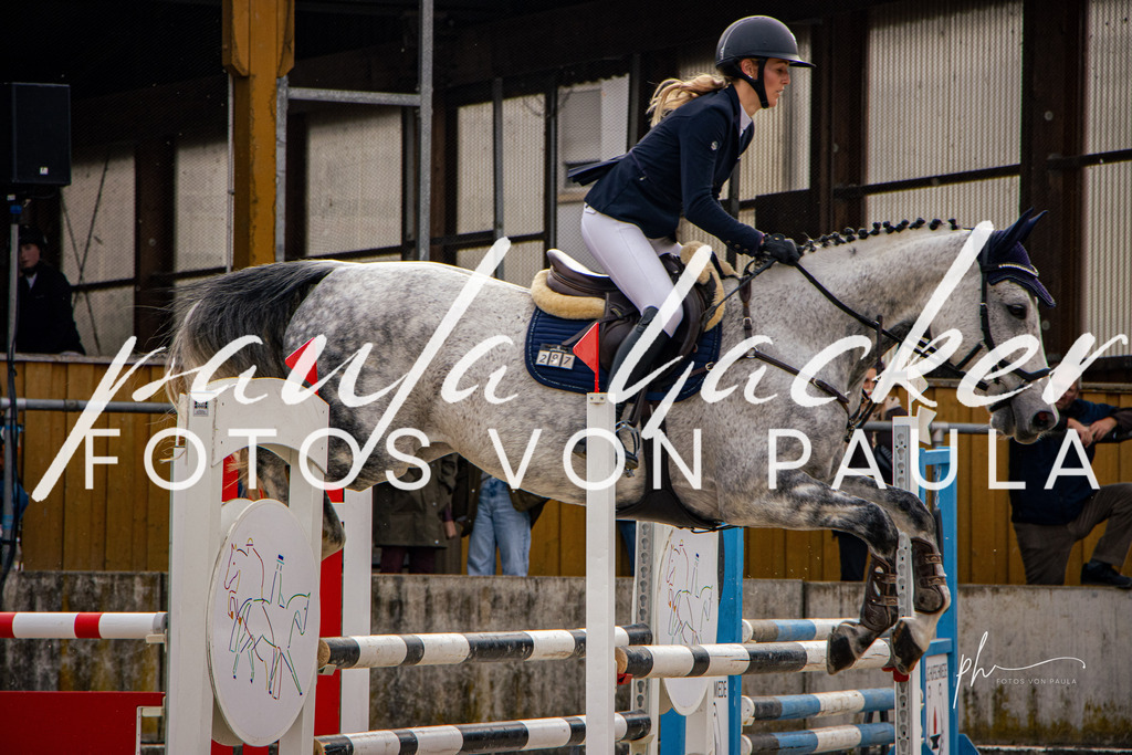 IMG_4418 | Erleben Sie dynamische Sport- und emotionale Tierfotografie in Süddeutschland mit Fotos von Paula. Spezialisiert auf Pferde- und Hundefotografie sowie Sportevents. Kontaktieren Sie mich für einzigartige und ausdrucksstarke Bilder Ihrer besonderen Momente. - Realisiert mit Pictrs.com