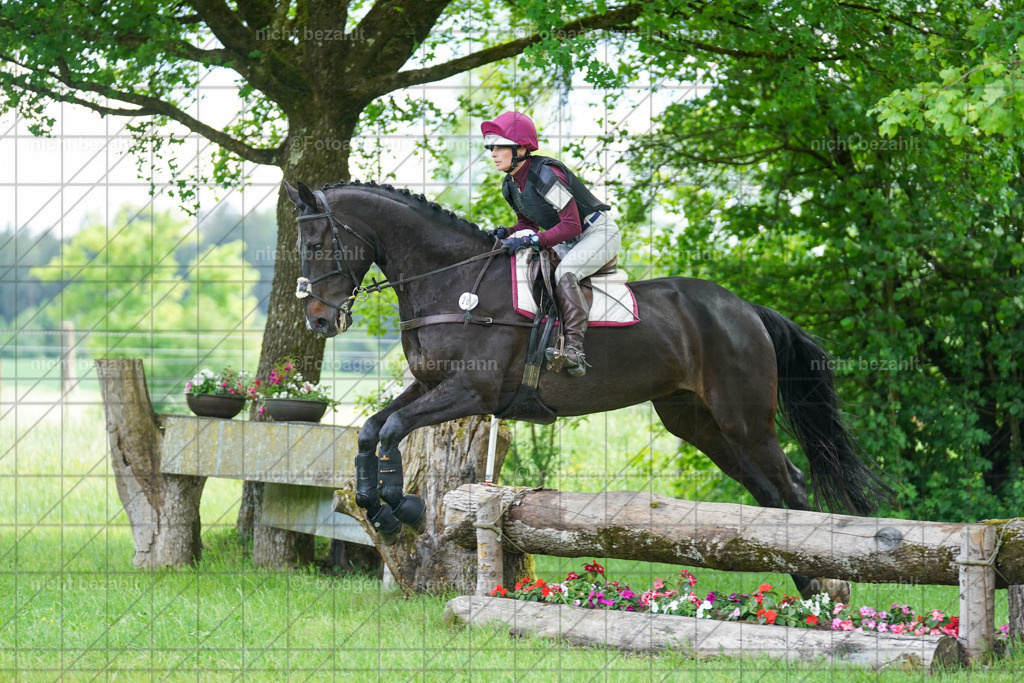 20240518-FAH03835 | Turnierbilder von Niederseon, Turnierfotografen Bayern, Fotoagentur Herrmann, Geländebilder, Reitsportfotografie