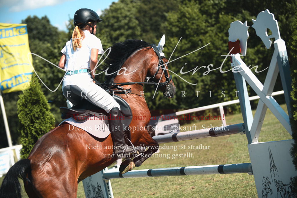 DSC_7290 | Pferde- und Turnierfotografie in Westsachsen. Pferdeportraits, Auftragszeichnungen und intuitive Kunst.