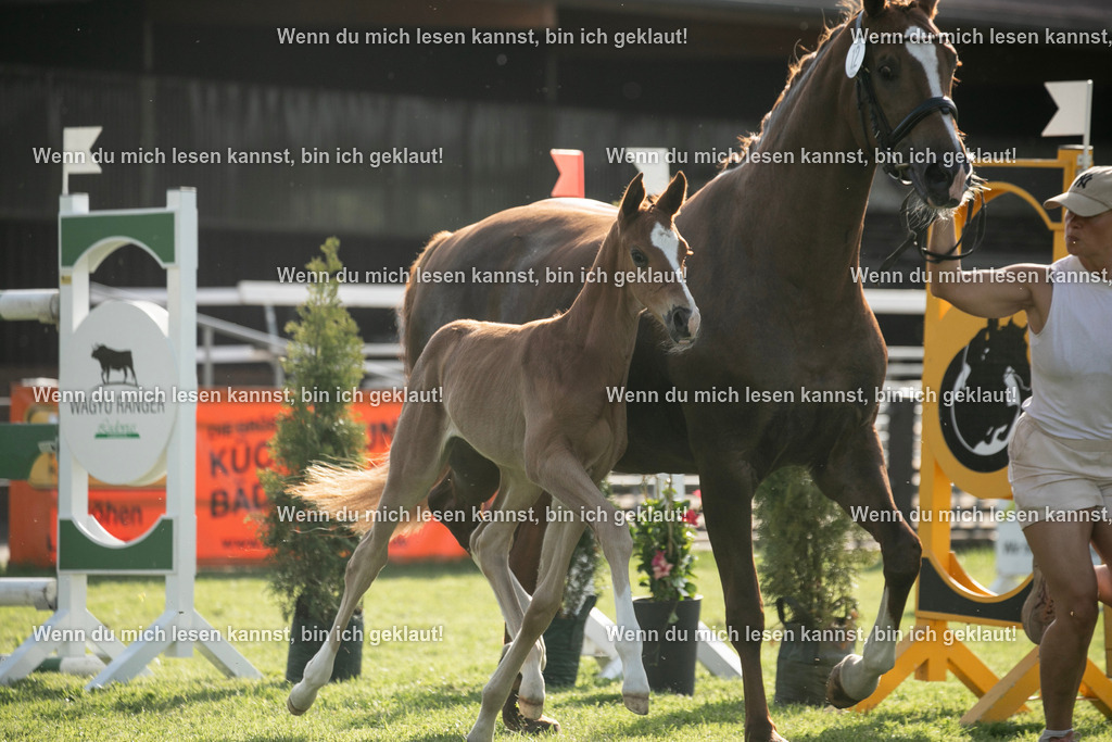 598A7208 | photographylinaismer - Realisiert mit Pictrs.com