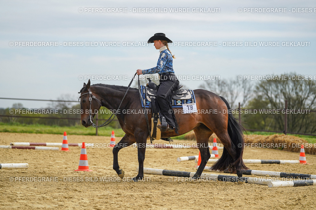 DSC03576 | Pferdegrafie