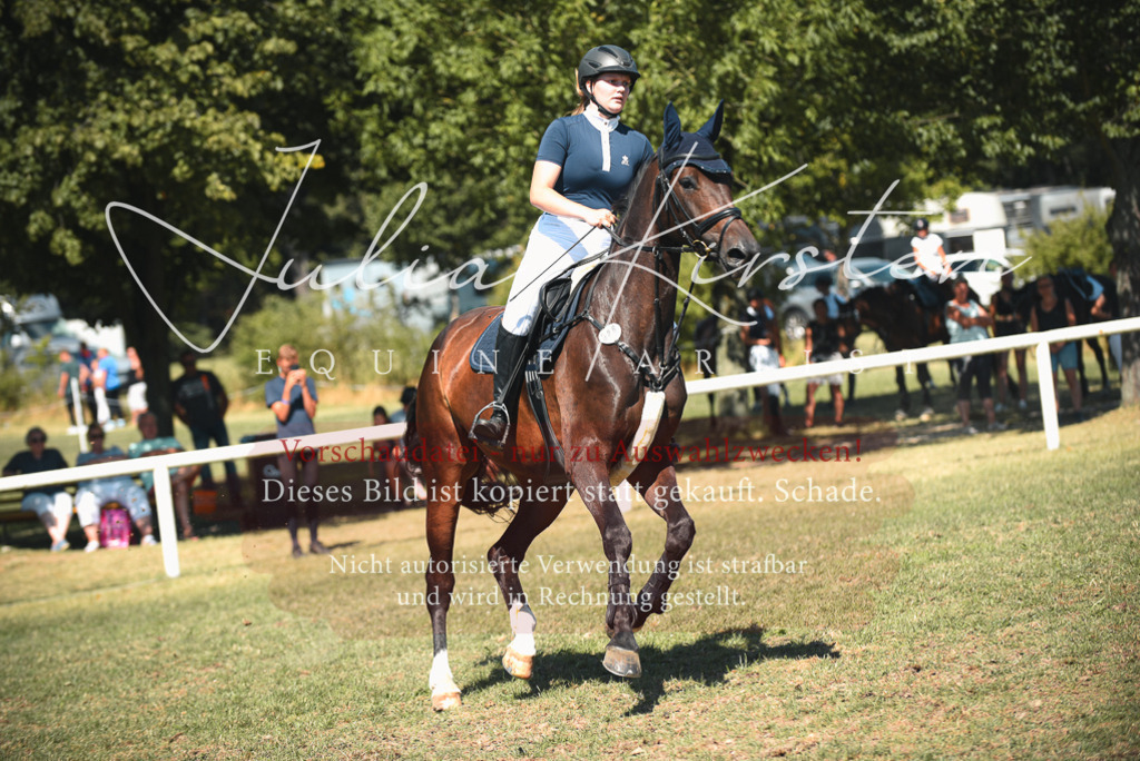 DSC_7012 | Pferde- und Turnierfotografie in Westsachsen. Pferdeportraits, Auftragszeichnungen und intuitive Kunst.