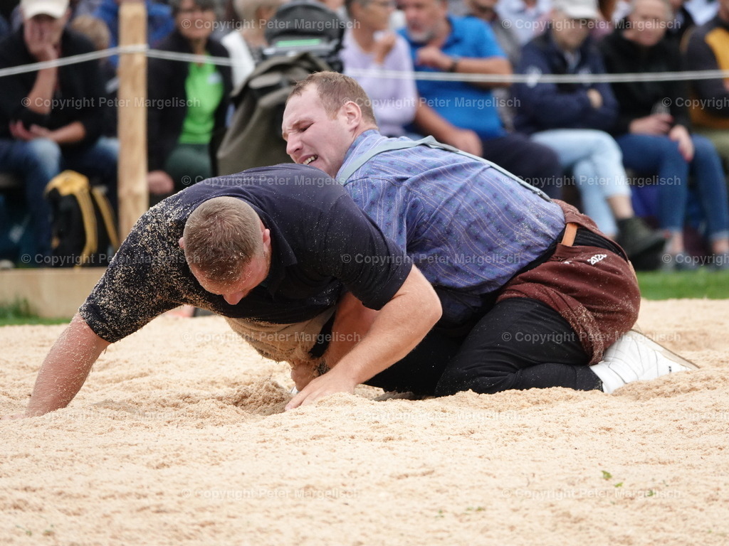 DSC08382 | Schwingen - Realisiert mit Pictrs.com